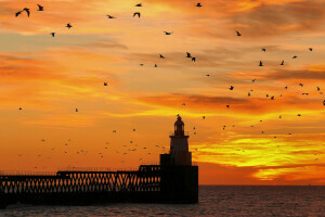 uccelli, ponte, paesaggio, Faro, tramonto, il cielo