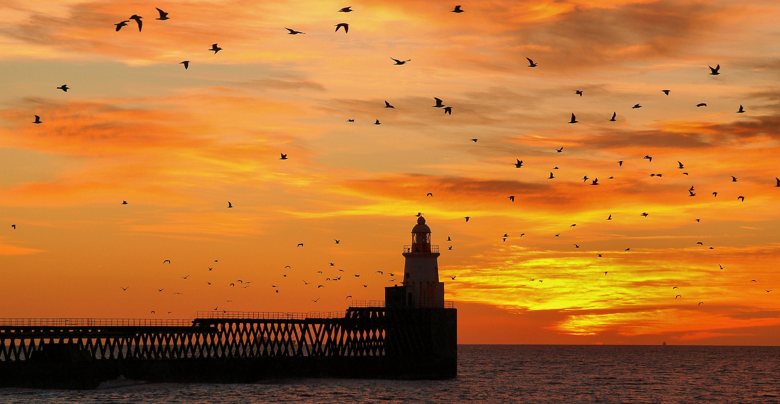 Le ciel, le coucher du soleil, paysage, Phare, Pont, des oiseaux