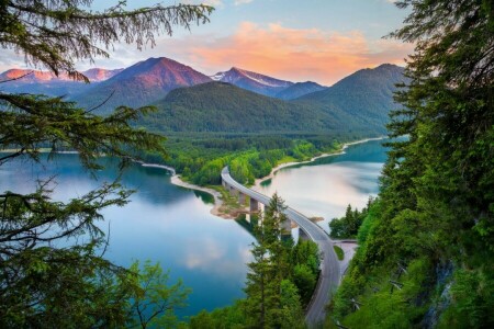 Bridge, forest, mountains, road, spring, summer