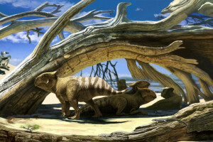 Desierto, dinosaurios, Protoceratops, pequeño