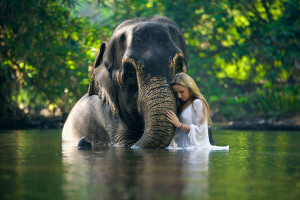 l'éléphant, fille, dans l'eau