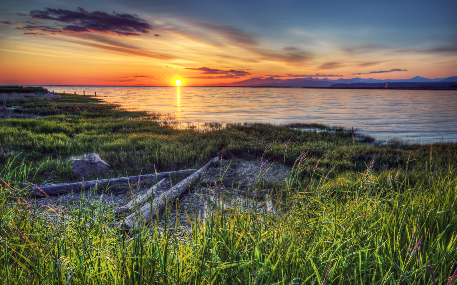 rivière, le coucher du soleil, rive, Canada