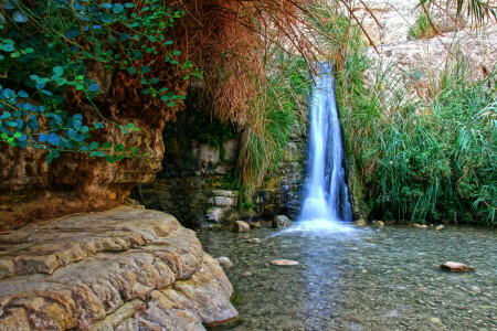 Pflanze, Felsen, Steine, die Grotte, Wasser, Wasserfall