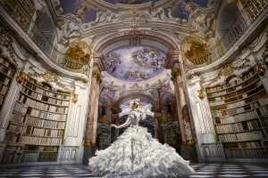 books, dance, dress, hall, library, mood