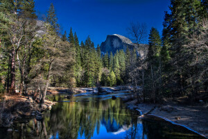 CA, pădure, munţi, râu, copaci, Statele Unite ale Americii, Parcul Național Yosemite