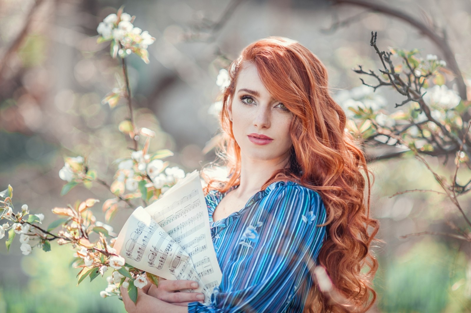 face, bokeh, BELEZA, Mulher, senhora