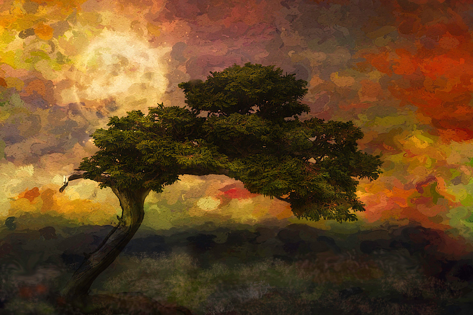 árbol, naturaleza, el cielo, paisaje, nubes, el sol, watcr