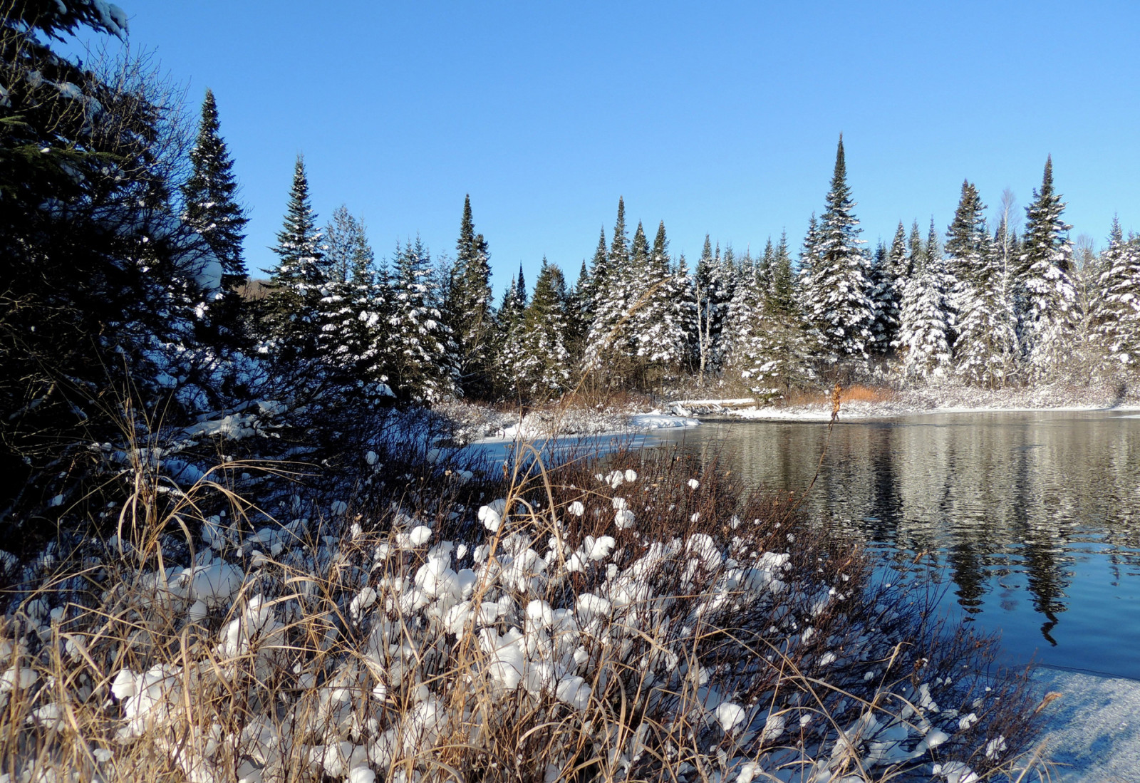 neige, forêt, Le ciel, rivière, hiver, des arbres