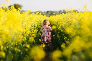 field, girl, mood, rape