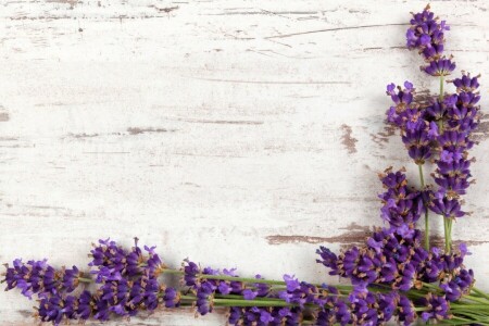 branches, flowers, lavender, wood