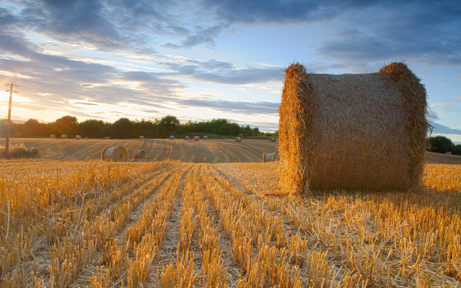 été, paysage, champ, foins