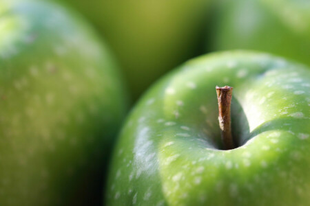 Pomme, Contexte, macro