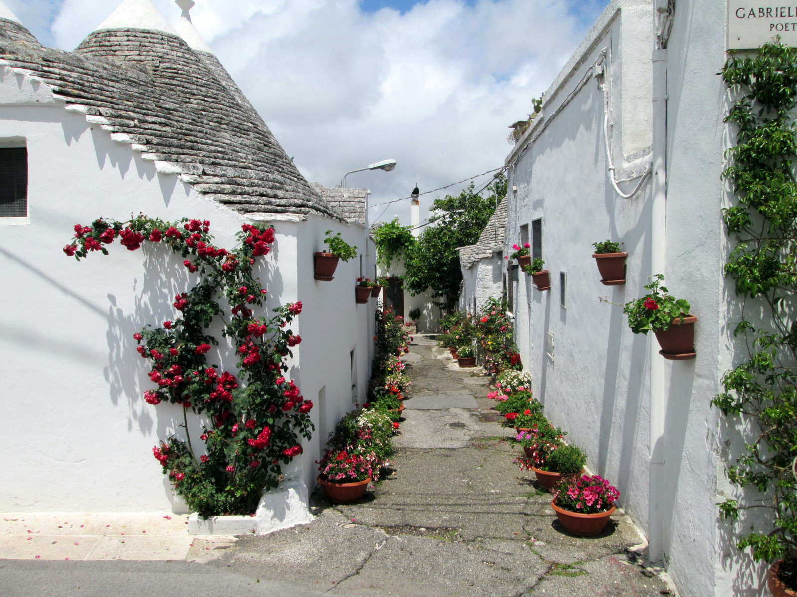 flores, hogar, Italia, carril, ollas, Alberobello