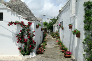 Alberobello, kwiaty, Dom, Włochy, pas ruchu, garnki