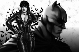 Arte, hombre murciélago, BELLEZA, Bruce Wayne, Catwoman, cofre, disfraz, DC comics