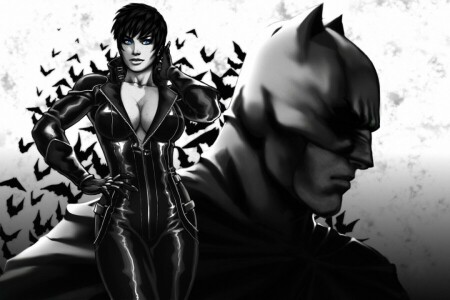 arte, homem Morcego, BELEZA, Bruce Wayne, mulher Gato, peito, traje, DC Comics