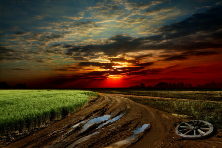 dirt, field, grass, landscape, nature, road, sky, sunset