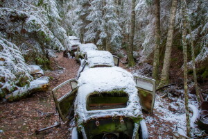 Wald, Maschine, Schrott, Schnee