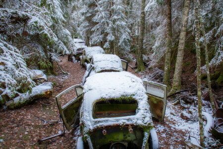 forêt, Machine, ferraille, neige