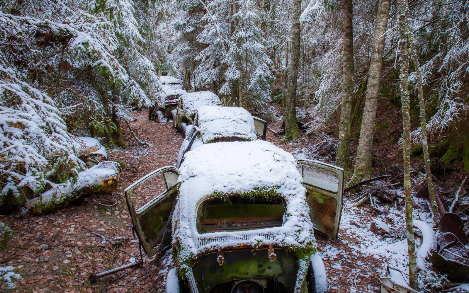 snö, skog, skrot, Maskin