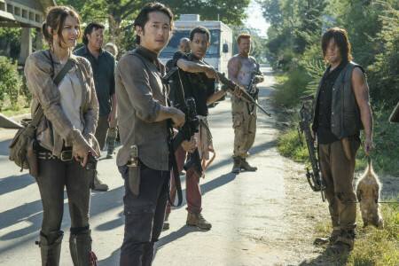 Team, the series, The Walking Dead, voltage, weapons