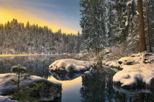 skog, sjö, vinter-