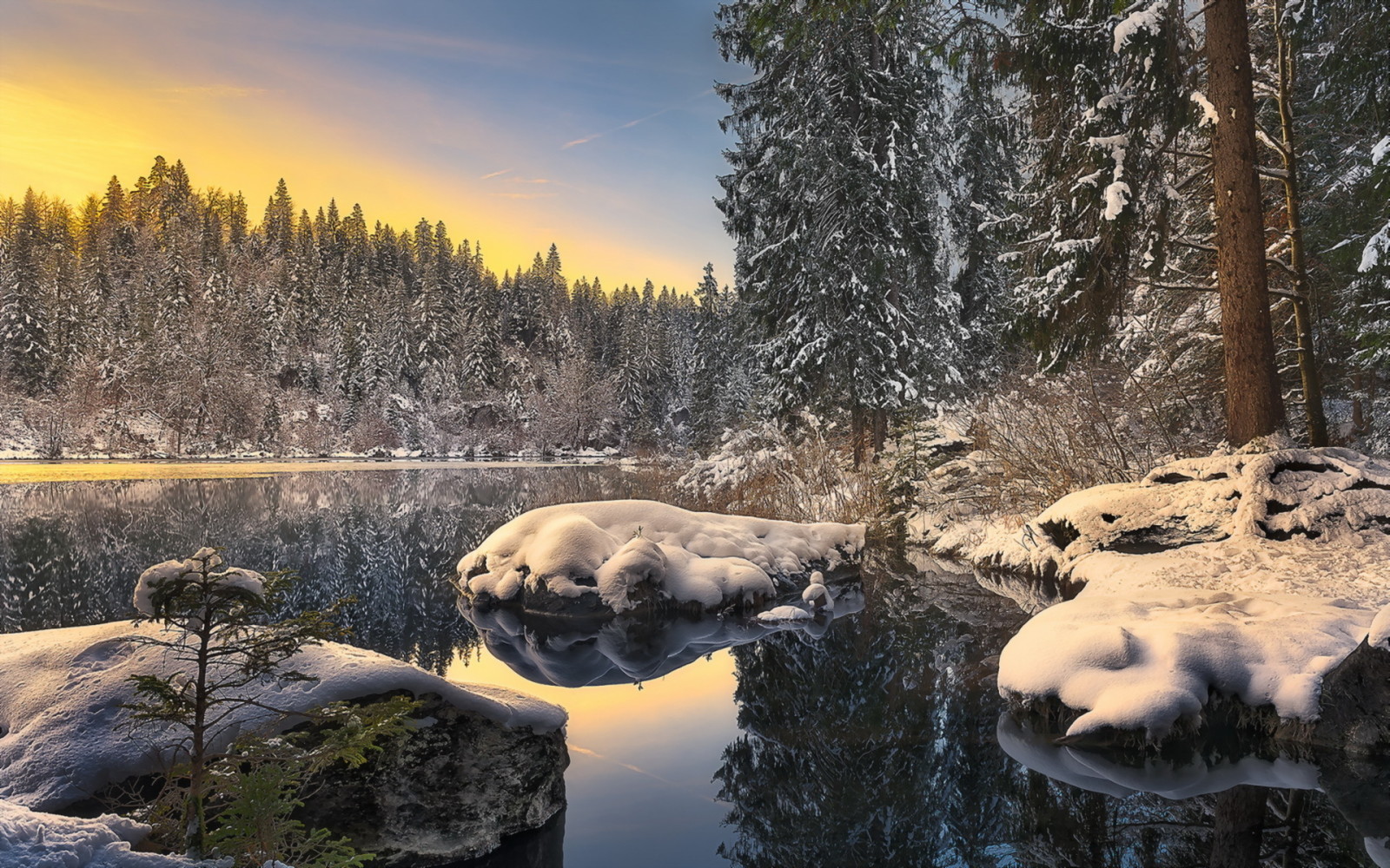 forêt, Lac, hiver