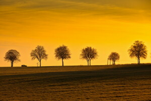 paisaje, Máquina, puesta de sol, arboles