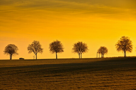 landscape, Machine, sunset, trees