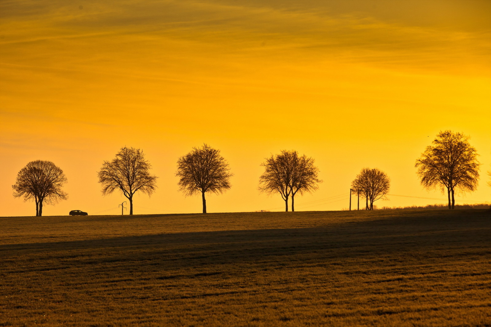 solnedgang, landskap, trær, Maskin