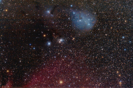 IC 447, en la constelación, nebulosa, reflexivo, unicornio