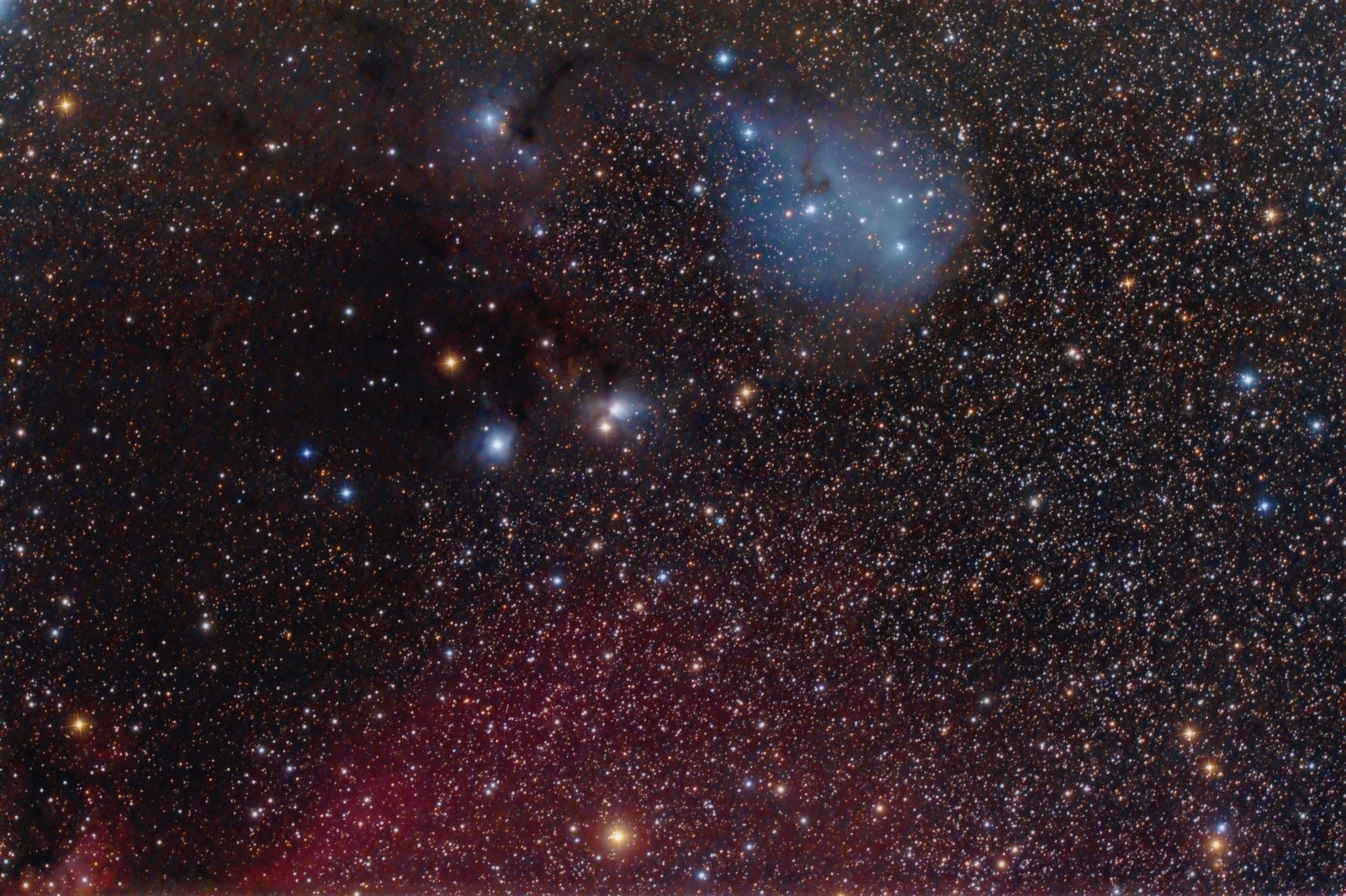 nébuleuse, Licorne, dans la constellation, réfléchissant, IC 447