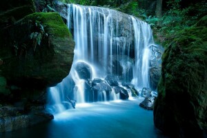 floresta, musgo, pedras, cascata