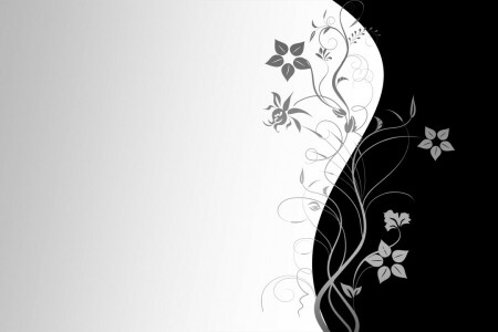 black background, flowers, grey background, pattern, texture, Vector, wallpaper