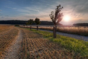 veld-, landschap, weg, de lucht