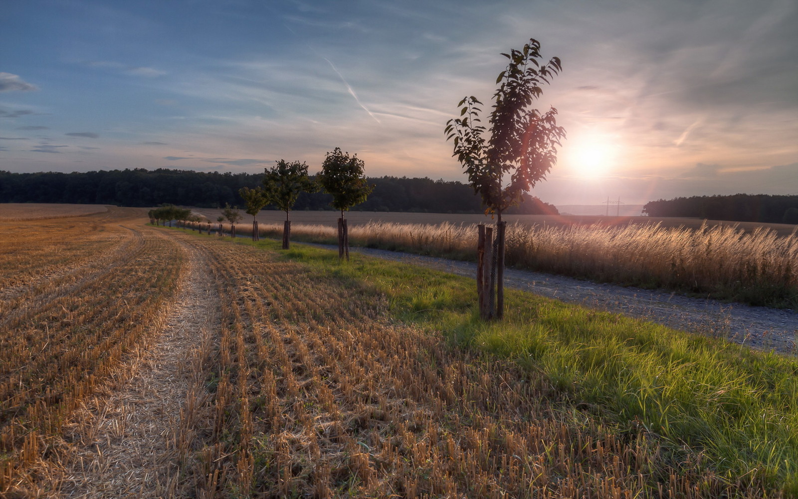 the sky, landscape, road, field