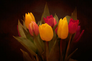 bouquet, leaves, petals, tulips