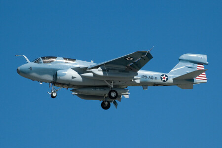 fedélzet, EA-6B, Grumman, Csavargó, a repülő