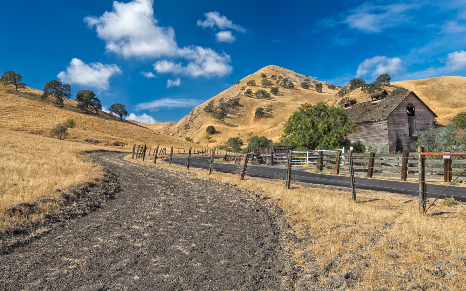 maison, paysage, route