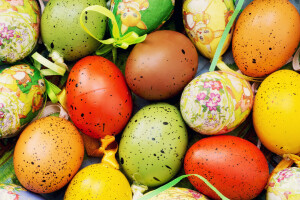 decoration, Easter, eggs, happy