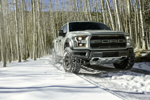 birch, F-150, Ford, pickup, Raptor, snow, winter