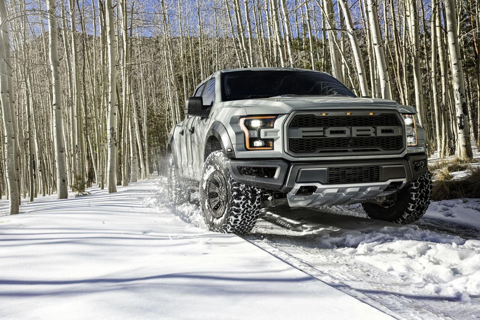 snow, winter, Ford, pickup, birch, Raptor, F-150