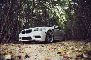 BMW, F10, hojas, Afinación, blanco