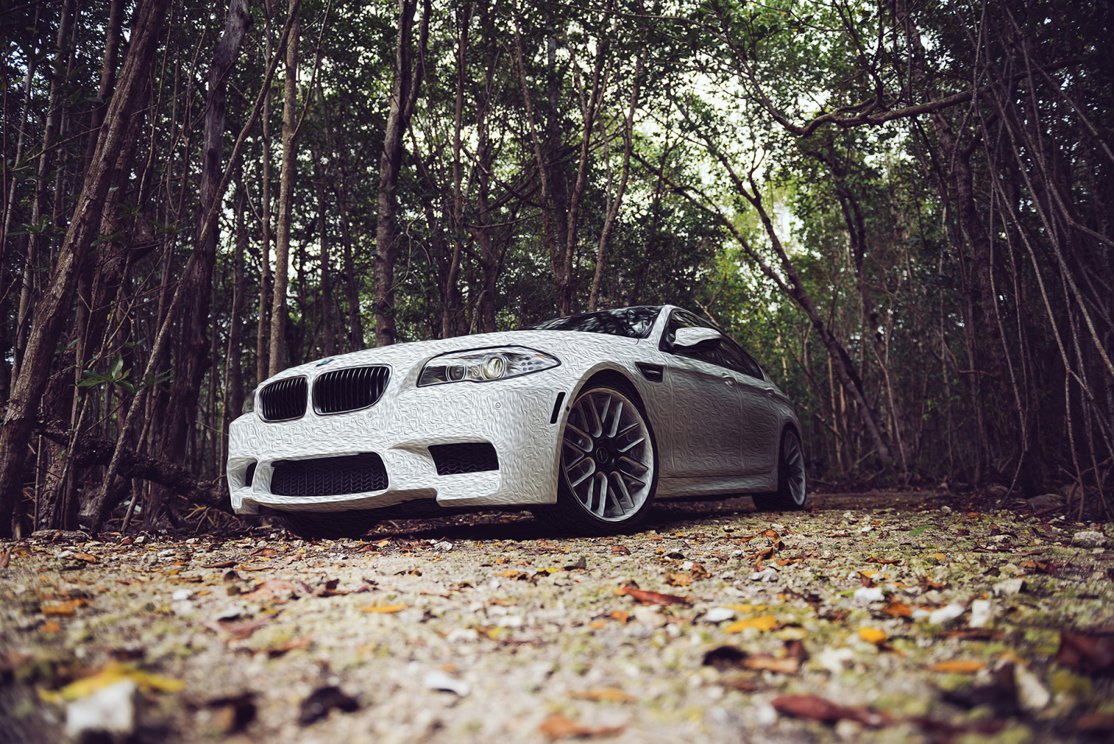 Weiß, Blätter, BMW, Tuning, F10