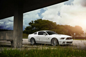 Auto, CVT, Ford, Vorderseite, Muskel, Mustang, Sonne, Vossen