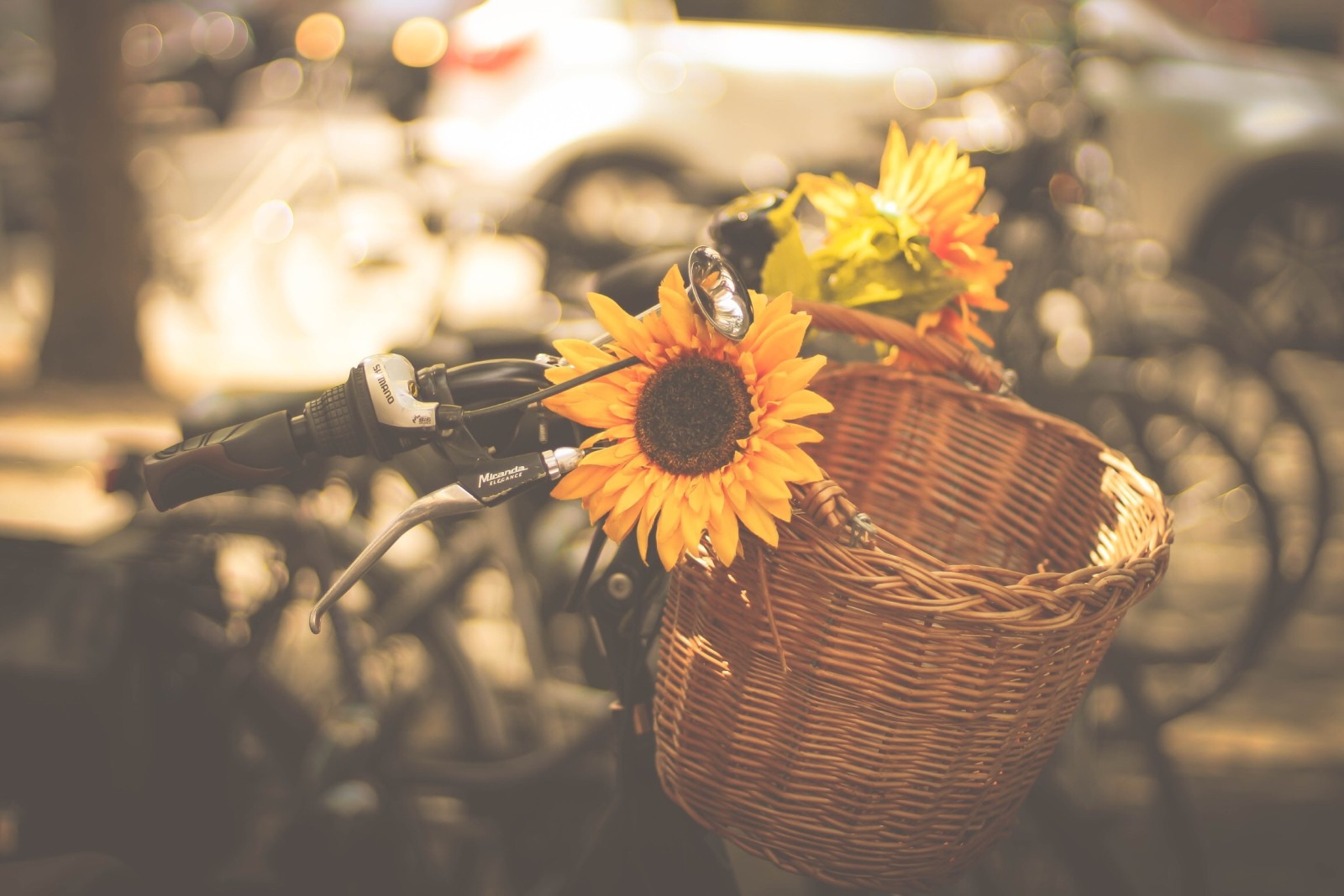 la ciudad, Máquina, bicicleta, cesta, cuerno, girasol, bicicletas