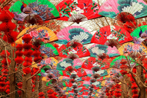 Beijing, China, fan, lanterns, Spring festival, trees