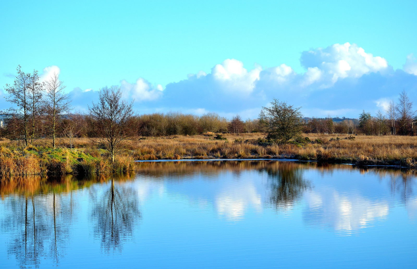 autumn, grass, the sky, lake, clouds