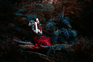 dress, forest, girl, Ronny Garcia