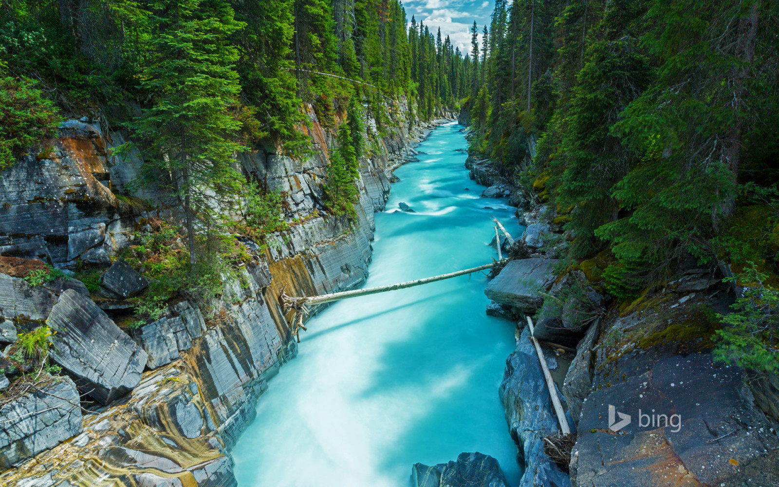 foresta, fiume, Canada, rocce, Parco Nazionale, British Columbia, NUMA Falls